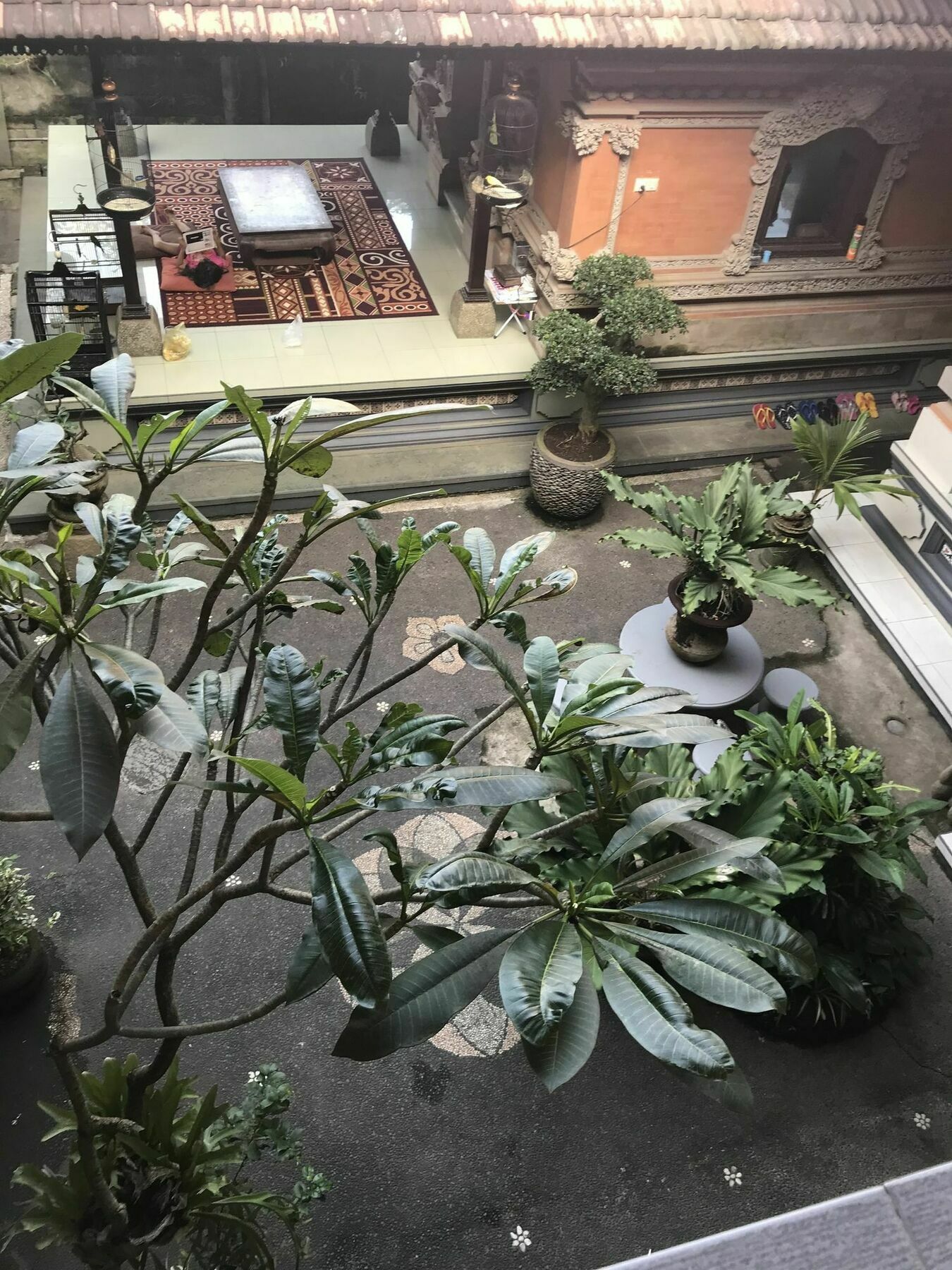 Kacu Ubud Inn Dış mekan fotoğraf